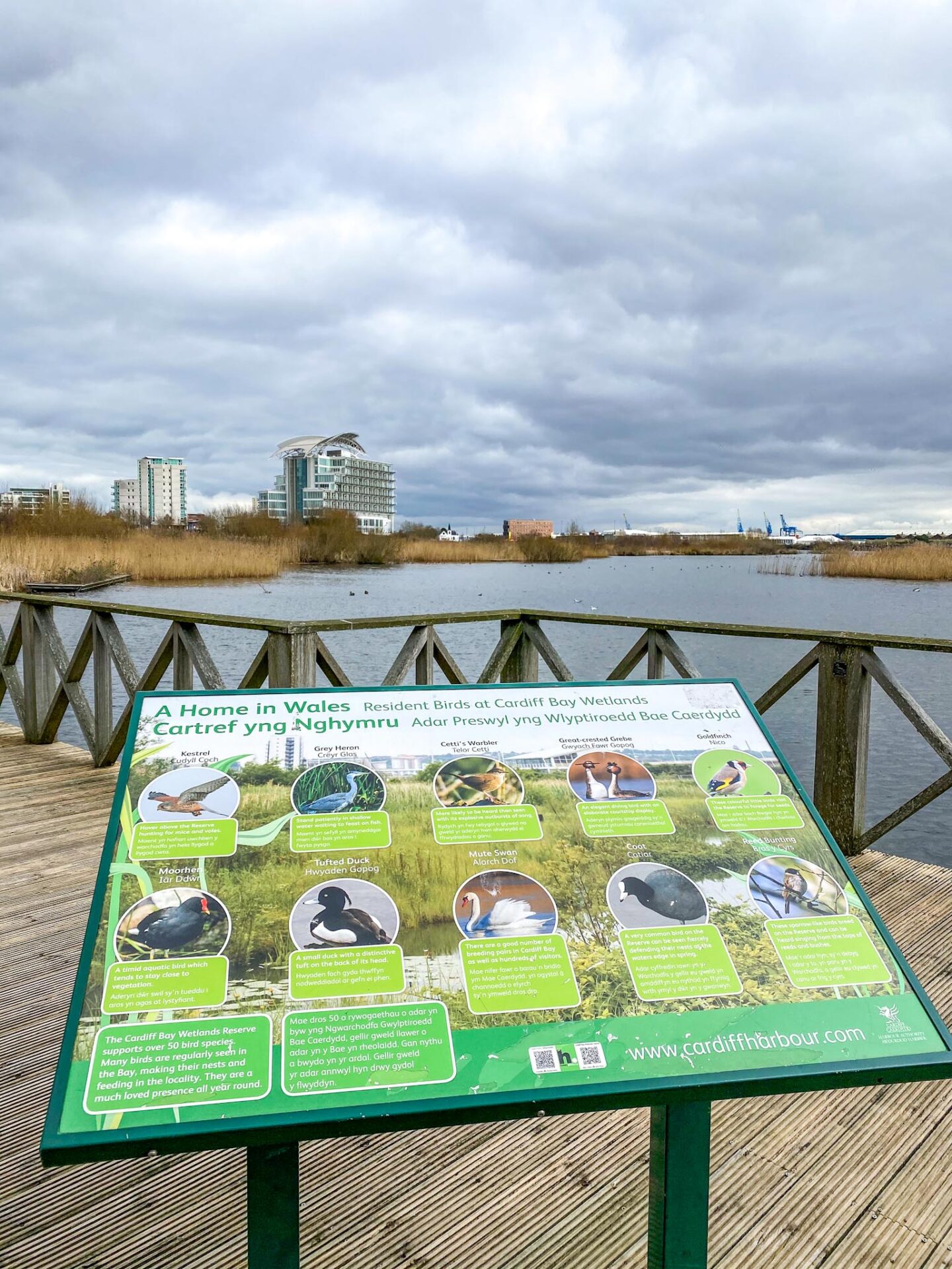 Cardiff Bay Wetlands Reserve Bird Sign - Cardiff Bay Wetlands Reserve Bird Sign