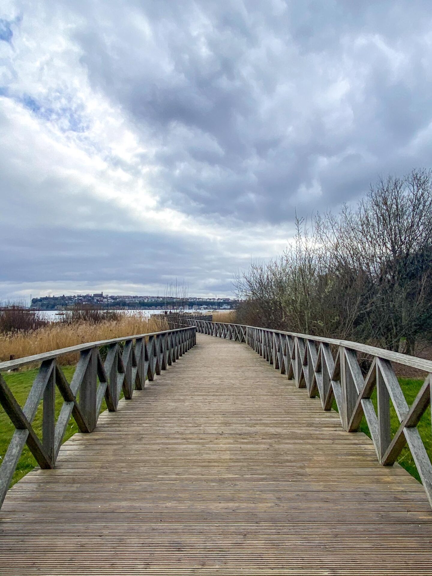 Cardiff Bay Wetlands Reserve Boardwalk - Cardiff Bay Wetlands Reserve Boardwalk