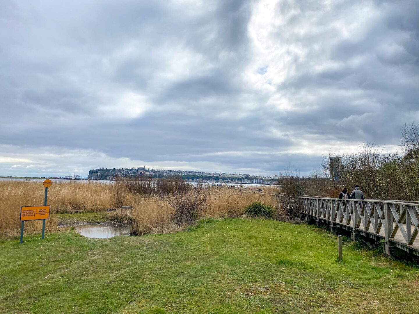 One day in Cardiff, Cardiff Bay Wetlands Reserve Boardwalk view - One day in Cardiff, Cardiff Bay Wetlands Reserve Boardwalk view