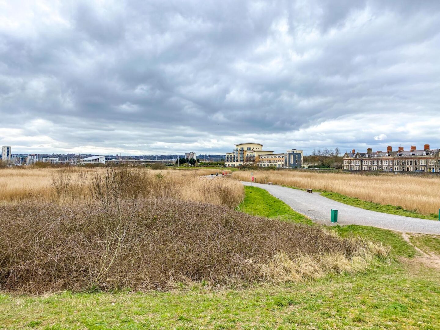Cardiff Bay Wetlands Reserve Path - Cardiff Bay Wetlands Reserve Path