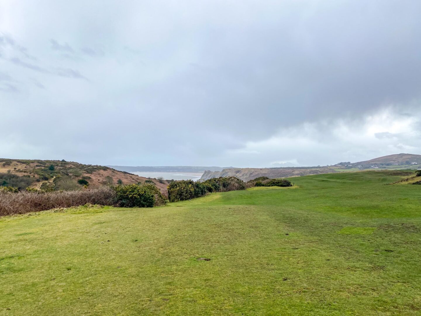 Three Cliffs Bay Field - Three Cliffs Bay Field