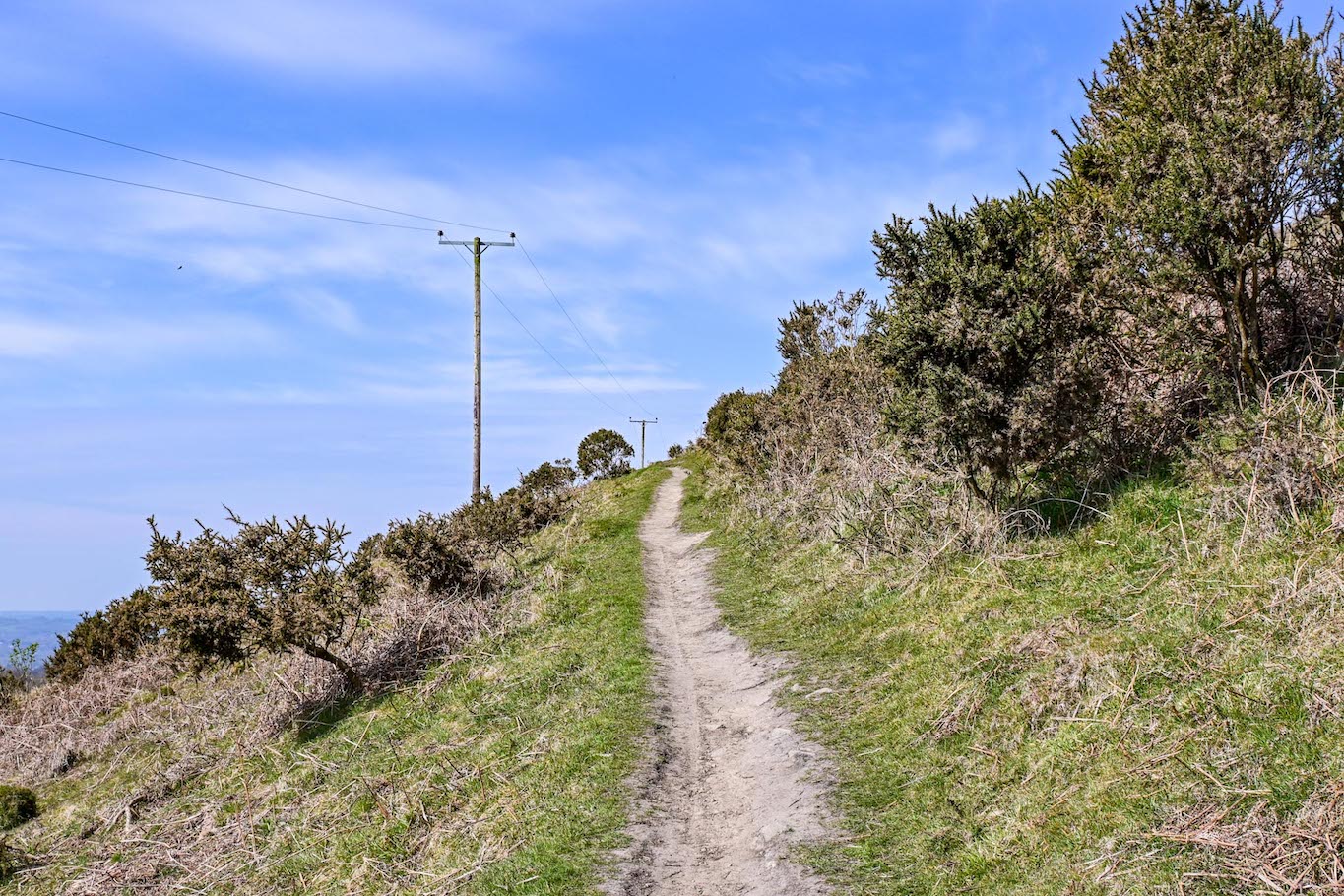 Garth Mountain Walk - Footpath,Garth Mountain Walk
