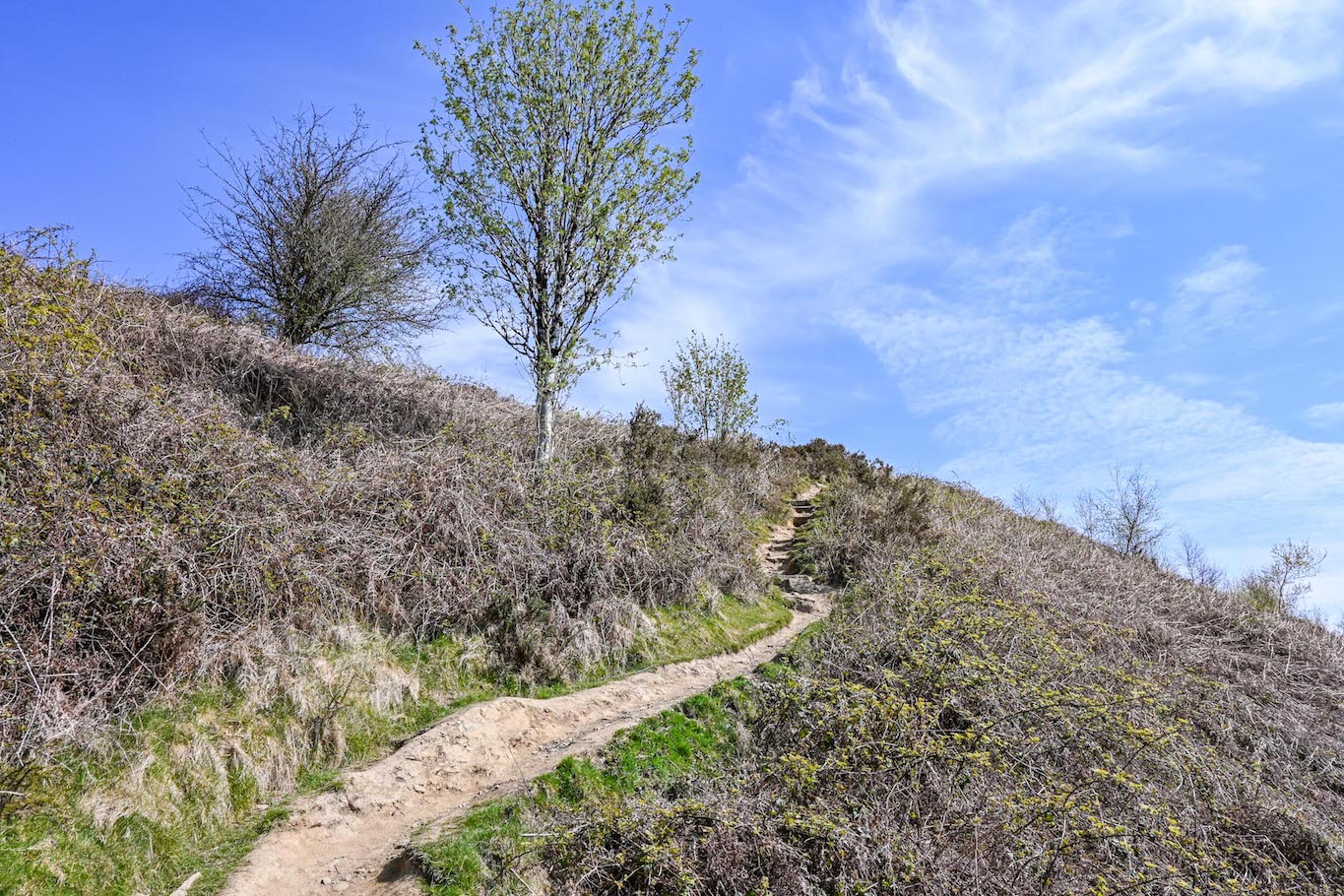 Garth Mountain Walk - footpath up the hill.Garth Mountain Walk