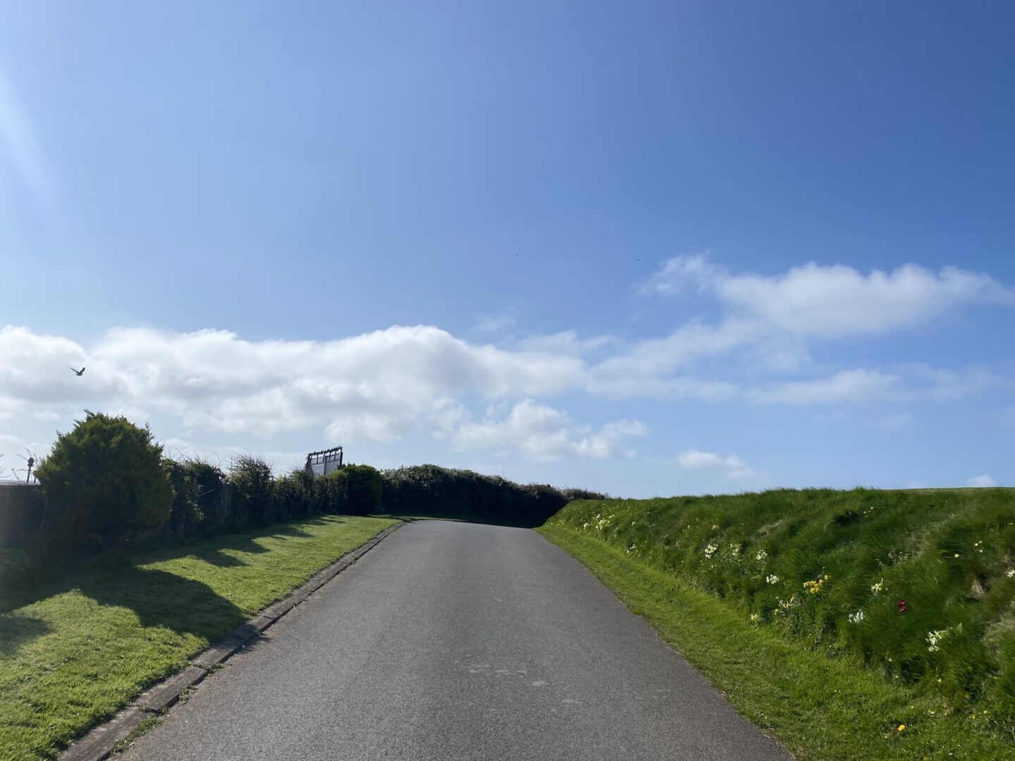Stack Rock Fort - country lane to Stack Rock Fort