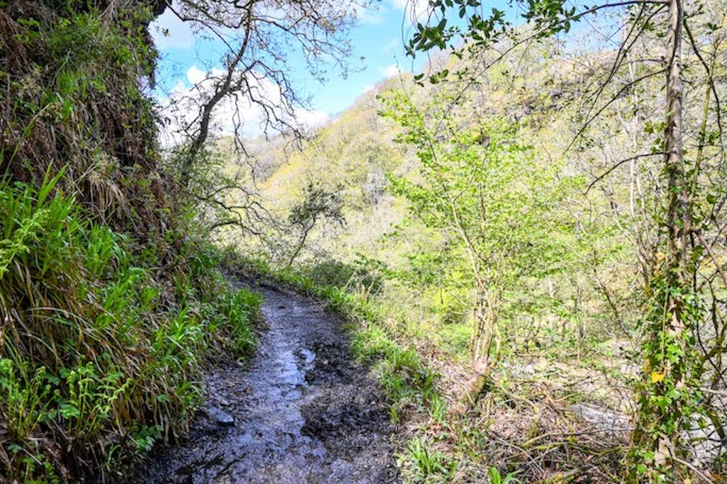 Brecon Beacons Waterfalls Walk - Brecon Beacons Waterfalls Walk