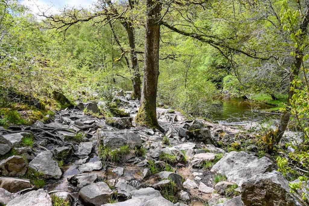 Brecon Beacons Waterfalls Walk - Brecon Beacons Waterfalls Walk