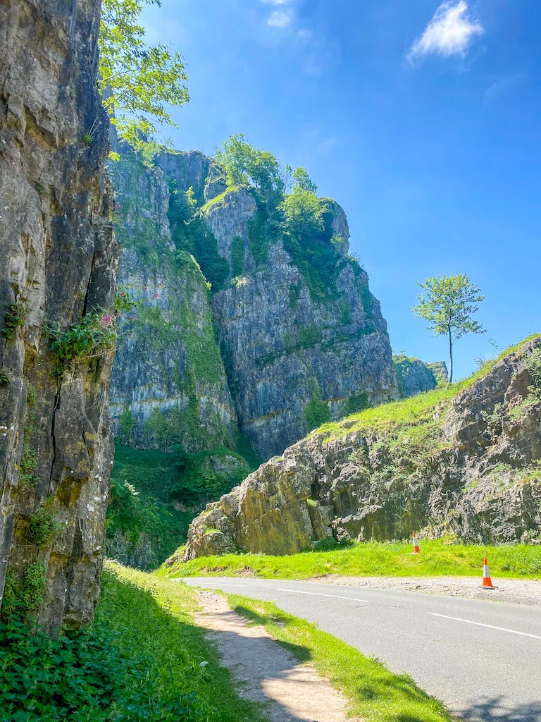 Cheddar Gorge Limestone - Cheddar Gorge Limestone