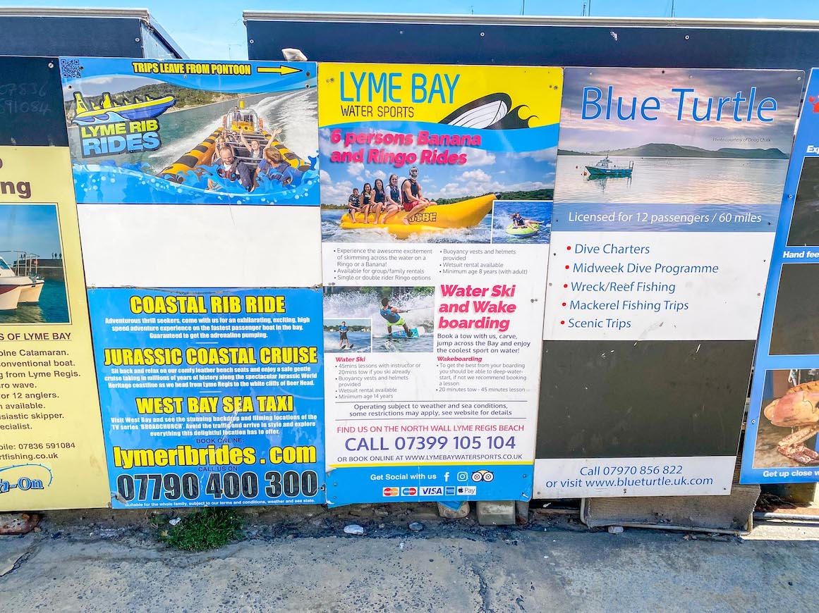Things to do in Lyme Regis, Lyme Regis Activities - Things to do in Lyme Regis, Lyme Regis Activities