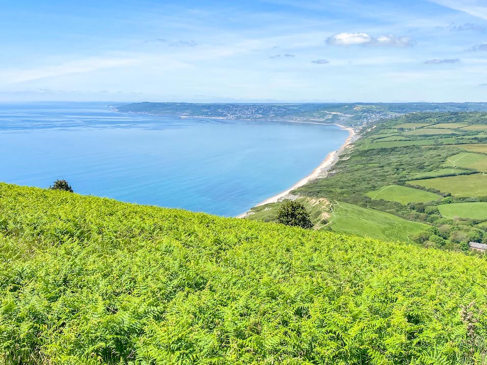 Things to do near Lyme Regis, Golden Cap - Things to do near Lyme Regis, Golden Cap Walk