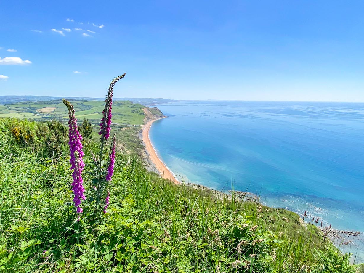 Golden Cap Walk - Golden Cap Walk