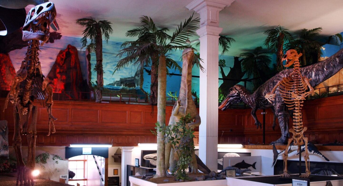 Things to do in Lyme Regis, Dinosaurland Fossil Museum - Things to do in Lyme Regis, Dinosaurland Fossil Museum
