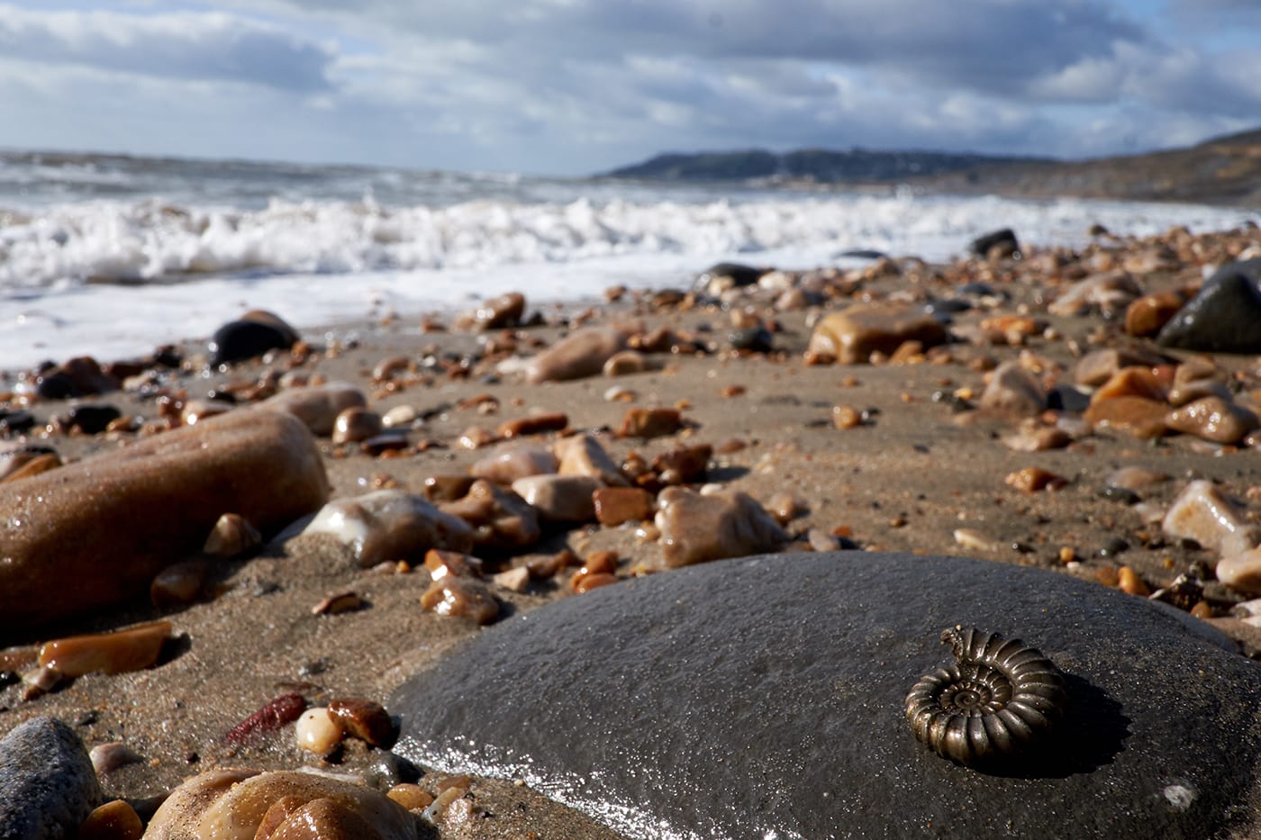 Things to do in Lyme Regis, Fossil Hunting - Things to do in Lyme Regis, Fossil Hunting