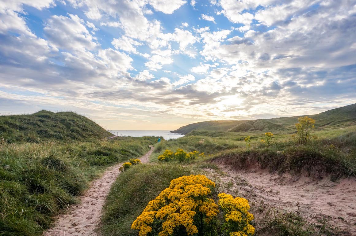 Best beaches in Pembrokeshire, Freshwater West Beach - Best beaches in Pembrokeshire, Freshwater West Beach