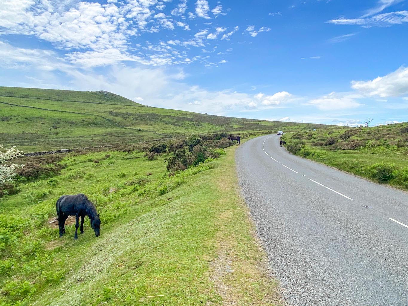 Cornwall Road Trip from London, Dartmoor National Park - Cornwall Road Trip from London, Dartmoor National Park