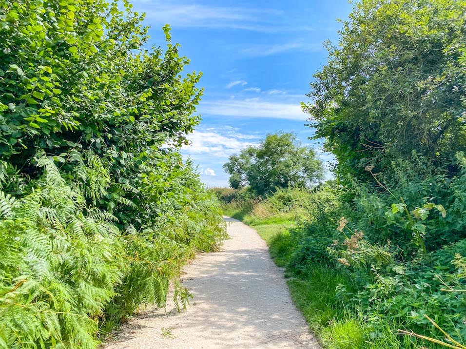 Old Harry Rocks Walk, Footpath from Studland - Old Harry Rocks Walk, Footpath from Studland