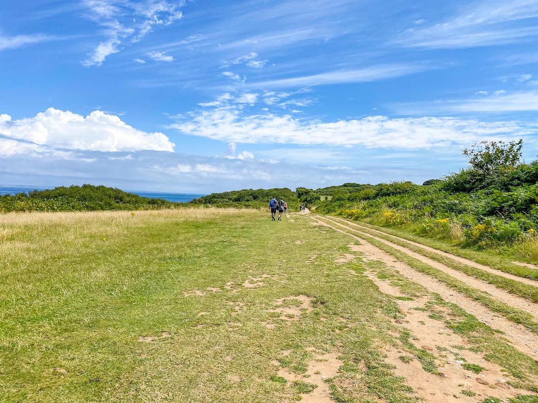 Old Harry Rocks Walk, Field Footpath from Studland - Old Harry Rocks Walk, Field Footpath from Studland