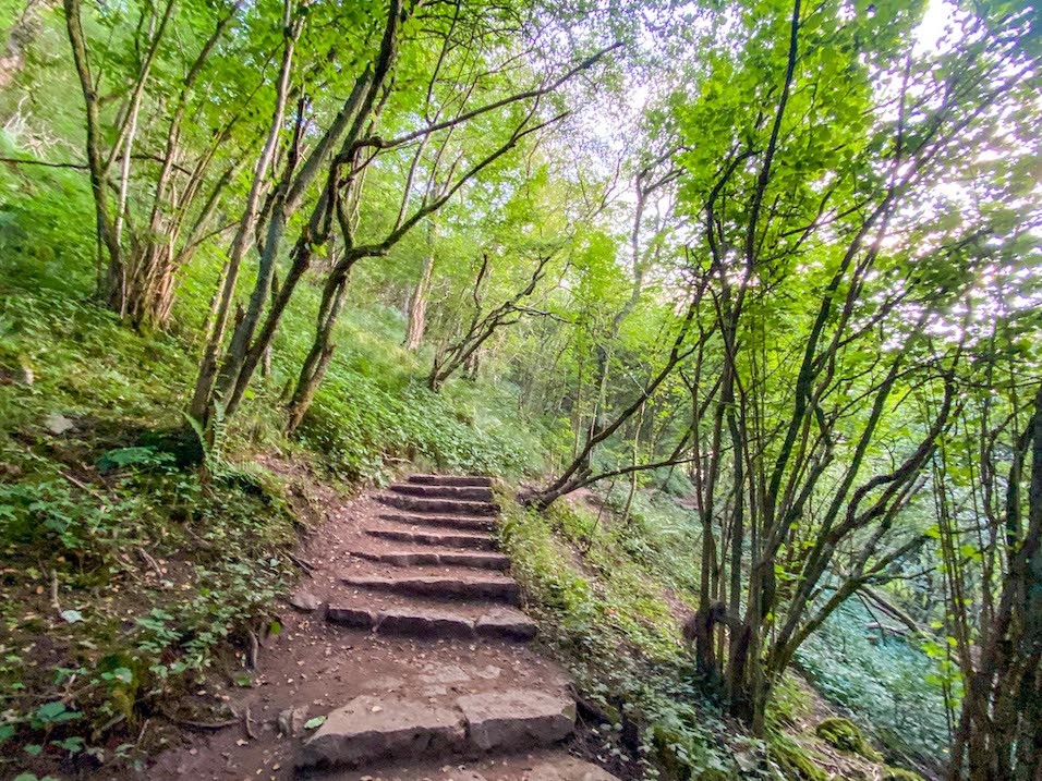 Thor's Cave Walk, Thor's Cave Woodland footpath - Thor's Cave Walk, Thor's Cave Woodland footpath