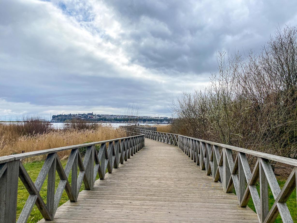 Things to do in Cardiff, things to do in Cardiff Bay, Cardiff Bay Wetlands Reserve - Things to do in Cardiff, things to do in Cardiff Bay, Cardiff Bay Wetlands Reserve