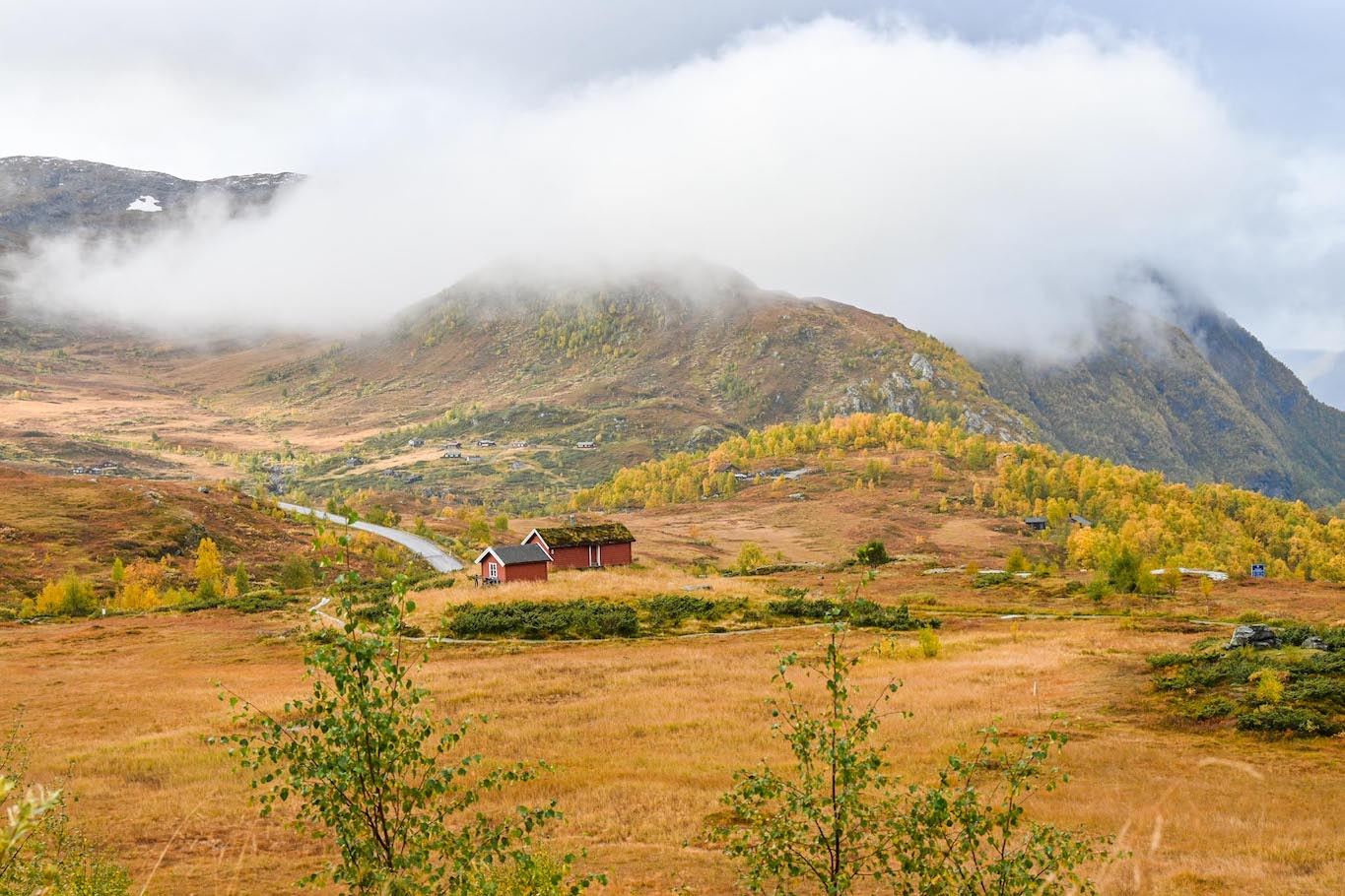 Bergen to Alesund, Autumn in Jotunheimen National Park - Bergen to Alesund, autumn in Jotunheimen National Park