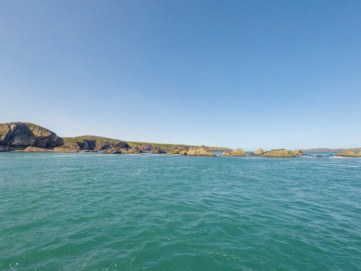 Places to visit in South Wales, Ramsey Island Boat Trip - Places to visit in South Wales, Ramsey Island Boat Trip