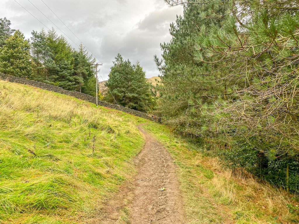 dovestone reservoir walk, Dovestone reservoir field path - dovestone reservoir walk, Dovestone reservoir field path