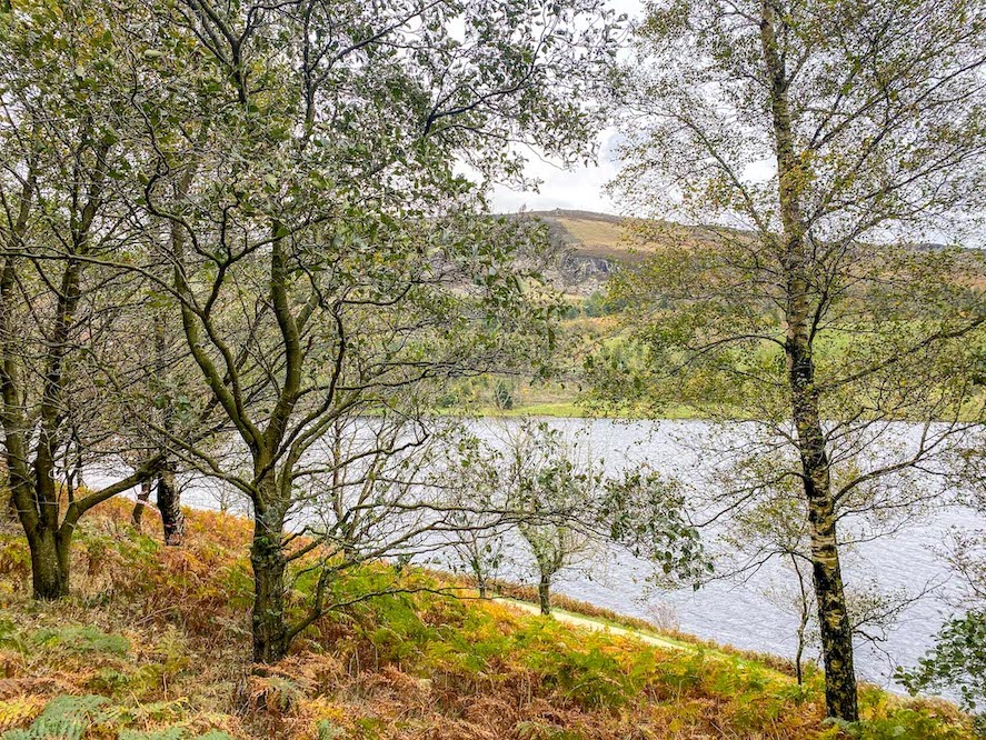 dovestone reservoir walk, Dovestone reservoir path - dovestone reservoir walk, Dovestone reservoir path