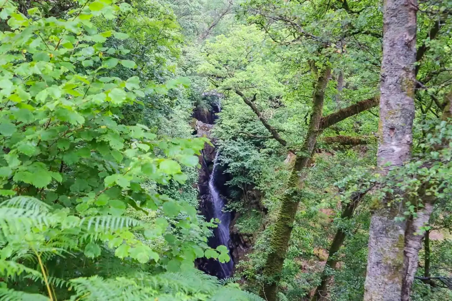 Easy Lake District walks, Aira Falls - Easy Lake District walks, Aira Falls
