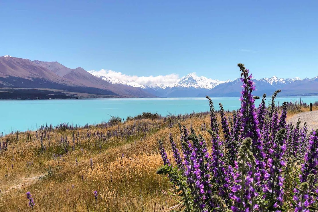 Hooker Valley Walk, d aoraki mt cook lake pukaki