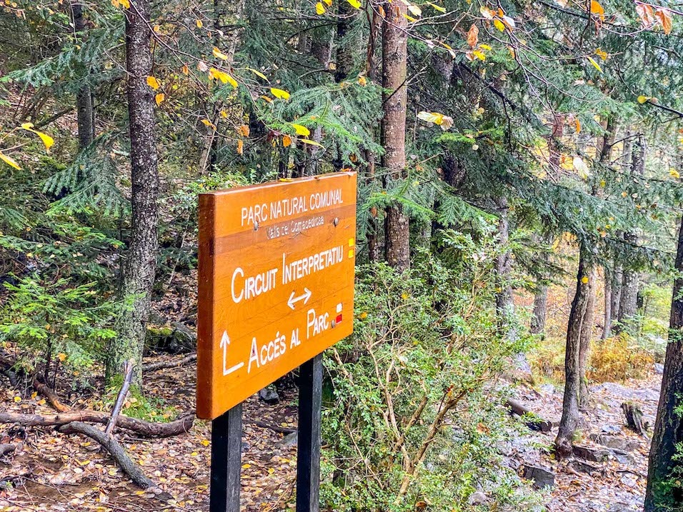 Coma Pedrosa Hike, forest sign for Coma Pedrosa National Park - Coma Pedrosa Hike, forest sign for Coma Pedrosa National Park