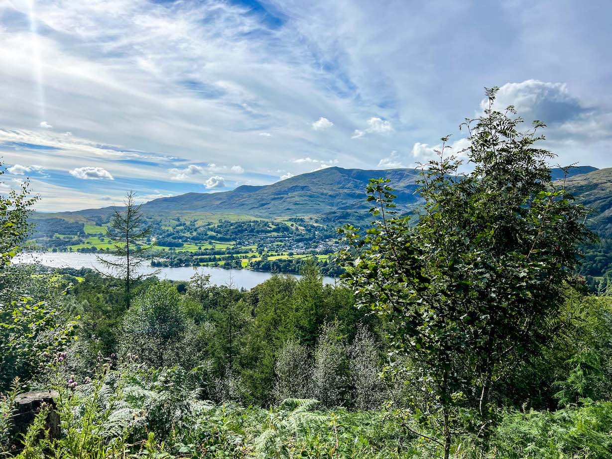 Grizedale Forest and Coniston Lake, Easy Lake District walks - Grizedale Forest and Coniston Lake, Easy Lake District walks