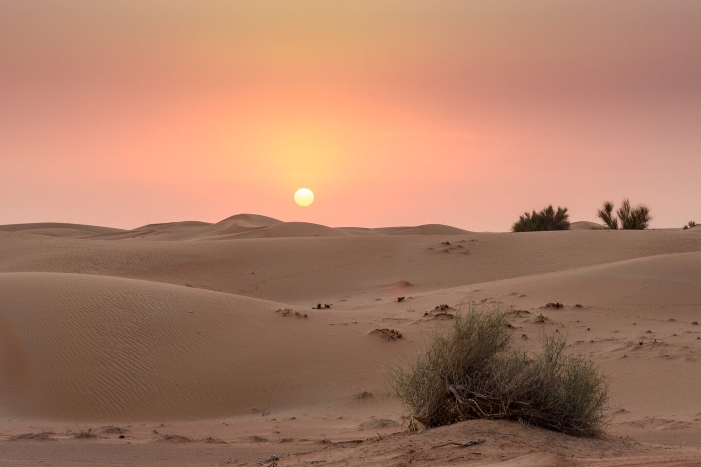 Winter Sun Europe, Dubai Desert - 5 Day Dubai itinerary, Dubai Desert