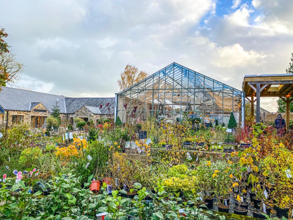 Things to do in Ribble Valley, Holden Clough Nursery Gardens - Things to do in Ribble Valley, Holden Clough Nursery Gardens