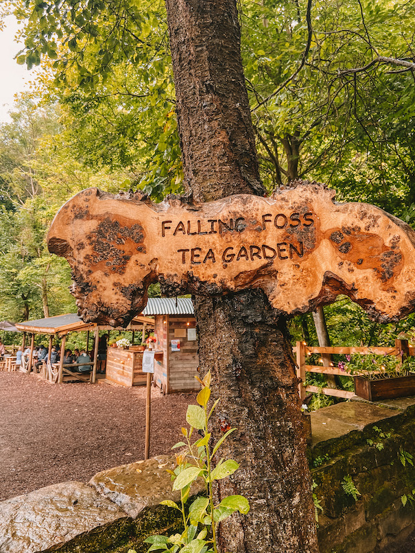 hings to do in Robin Hoods Bay, Falling Floss - hings to do in Robin Hoods Bay, Falling Floss