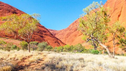 The Wandering Quinn Travel Blog the red centre