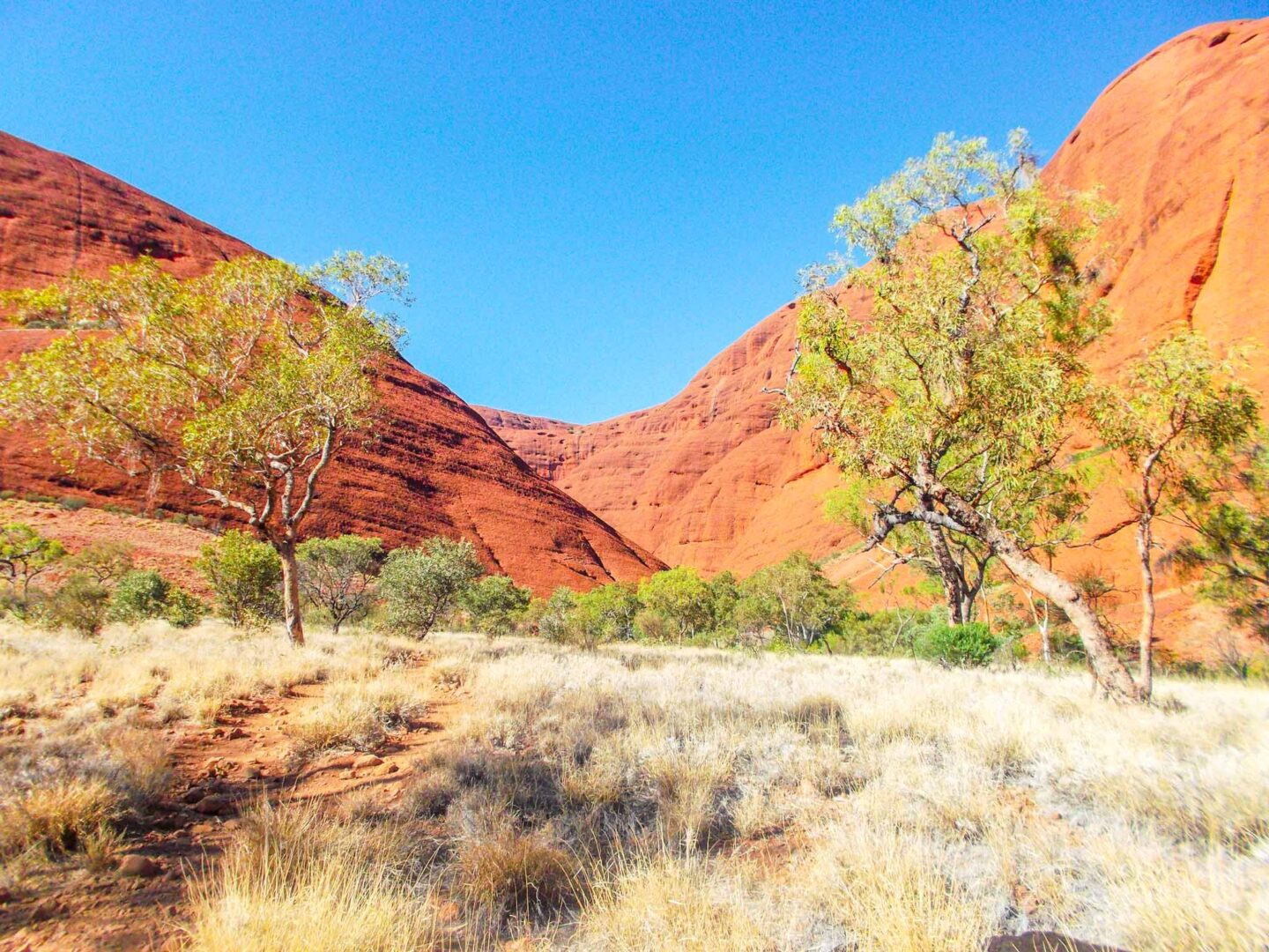 the red centre, Kata Tjuta - the red centre, Kata Tjuta