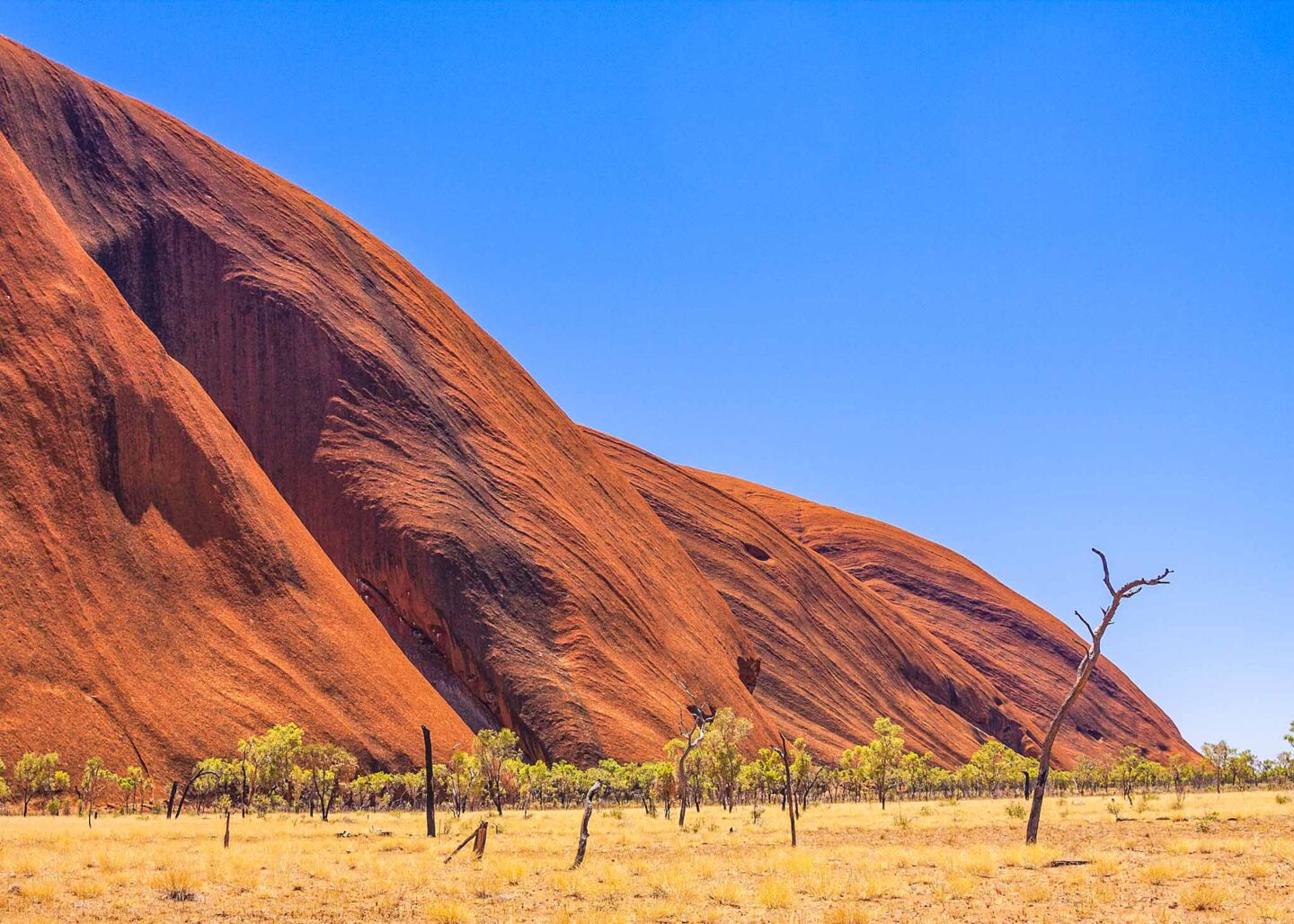the red centre, Uluru base - the red centre, Uluru base