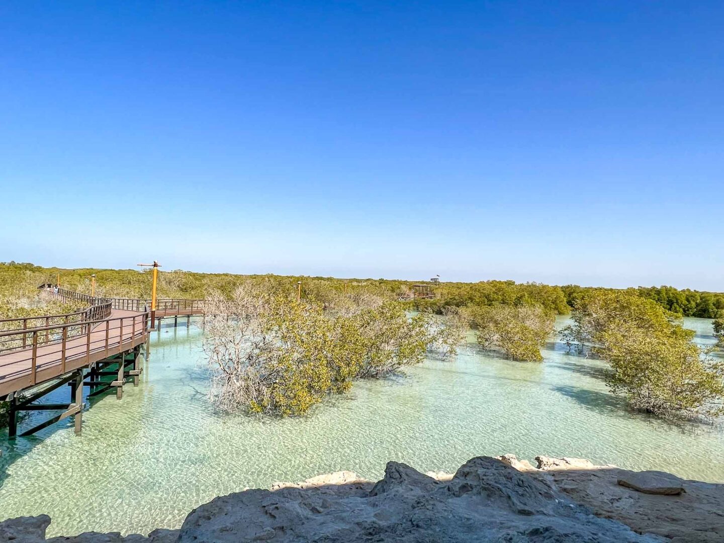 Things to do in Abu Dhabi, Jubail Mangrove Park Boardwalk - Things to do in Abu Dhabi, Jubail Mangrove Park Boardwalk