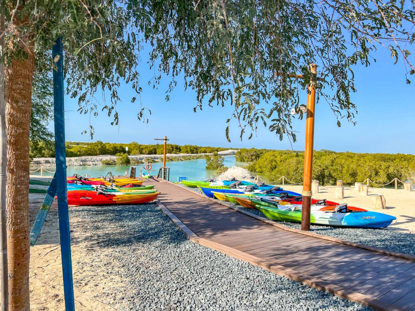 Things to do in Abu Dhabi, kayak shop at Jubail Mangrove Park - Things to do in Abu Dhabi, kayak shop at Jubail Mangrove Park