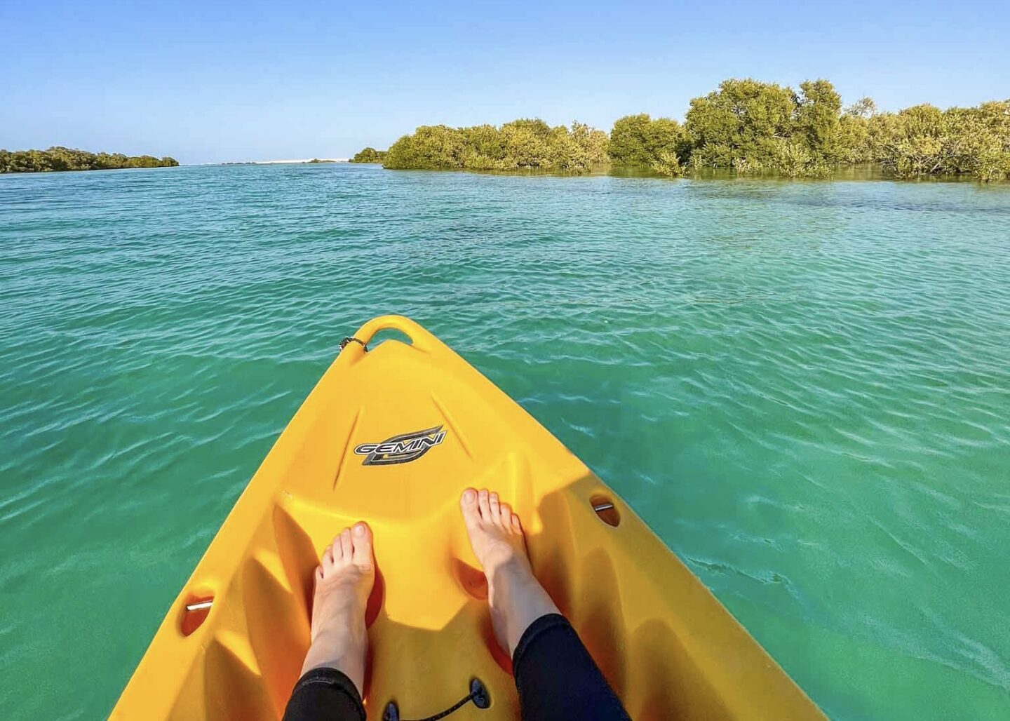 Things to do in Abu Dhabi, Jubail Mangrove Park kayaking - Things to do in Abu Dhabi, Jubail Mangrove Park kayaking
