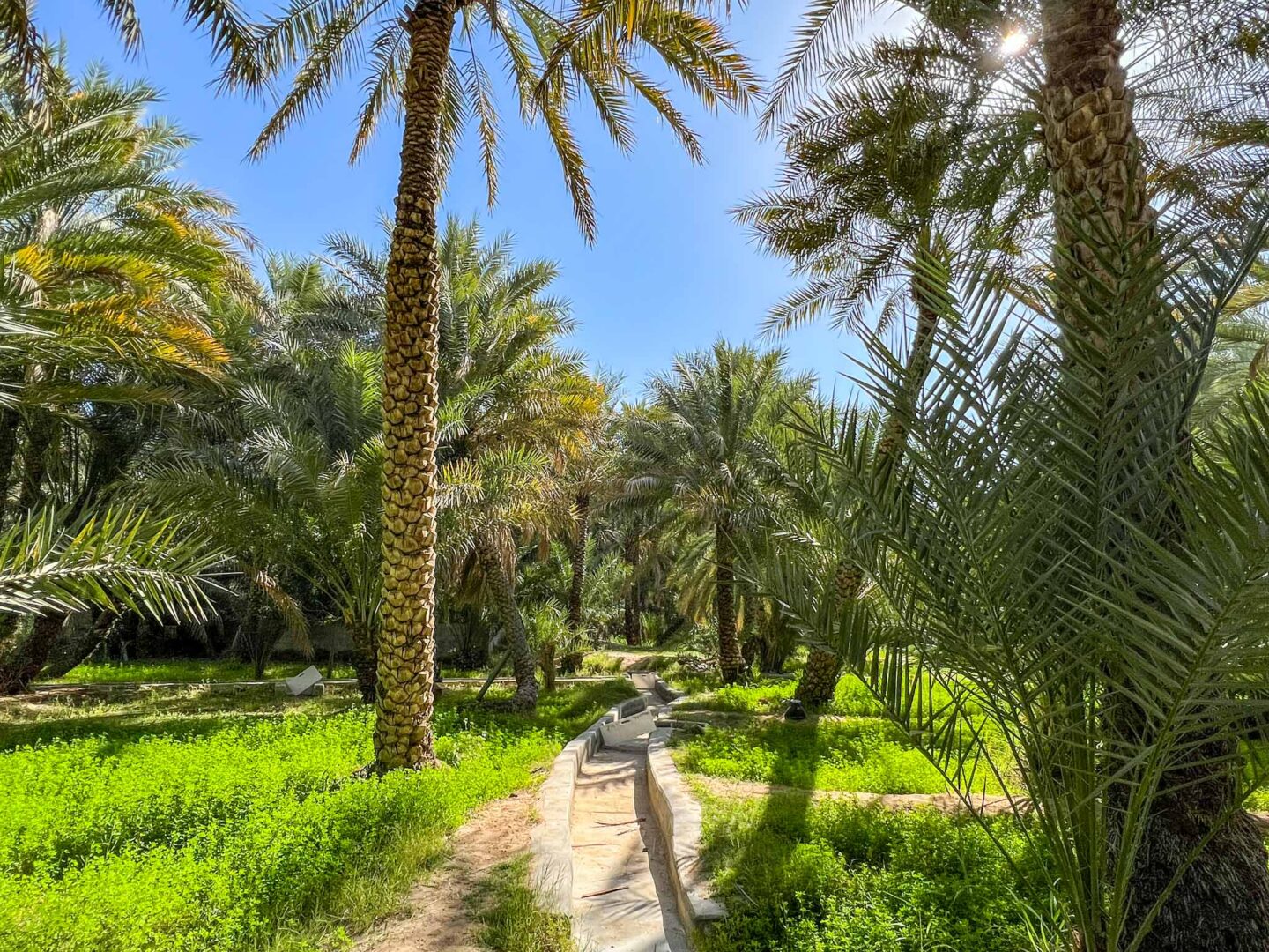 things to do in Al Ain, Al Ain Oasis irrigation - things to do in Al Ain, Al Ain Oasis irrigation
