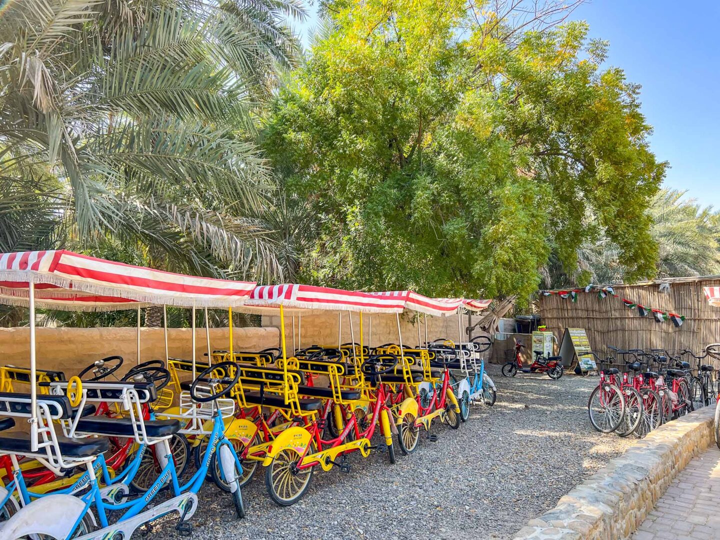things to do in Al Ain, Al Ain Oasis Bike Hire - things to do in Al Ain, Al Ain Oasis Bike Hire