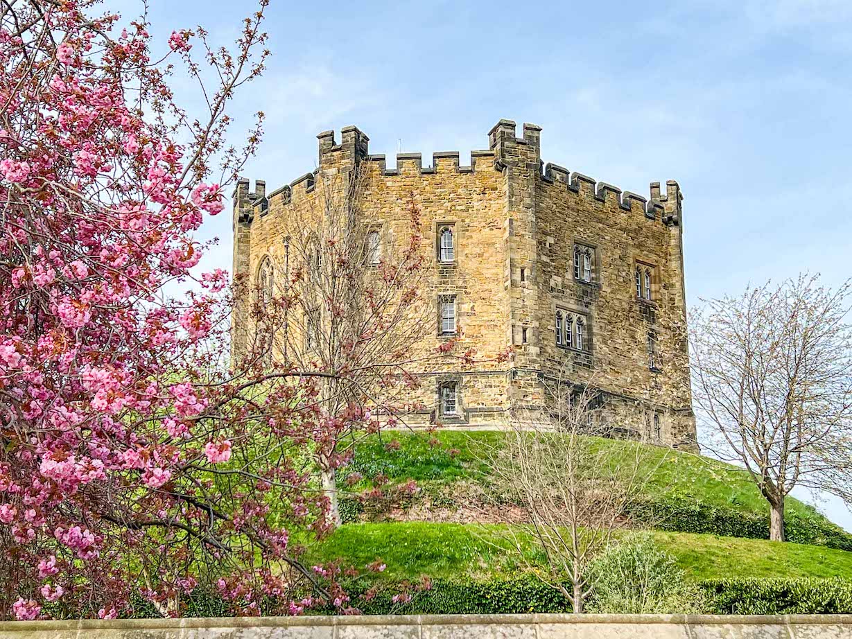Things to do in Durham, Durham Castle and blossom - Things to do in Durham, Durham Castle and blossom