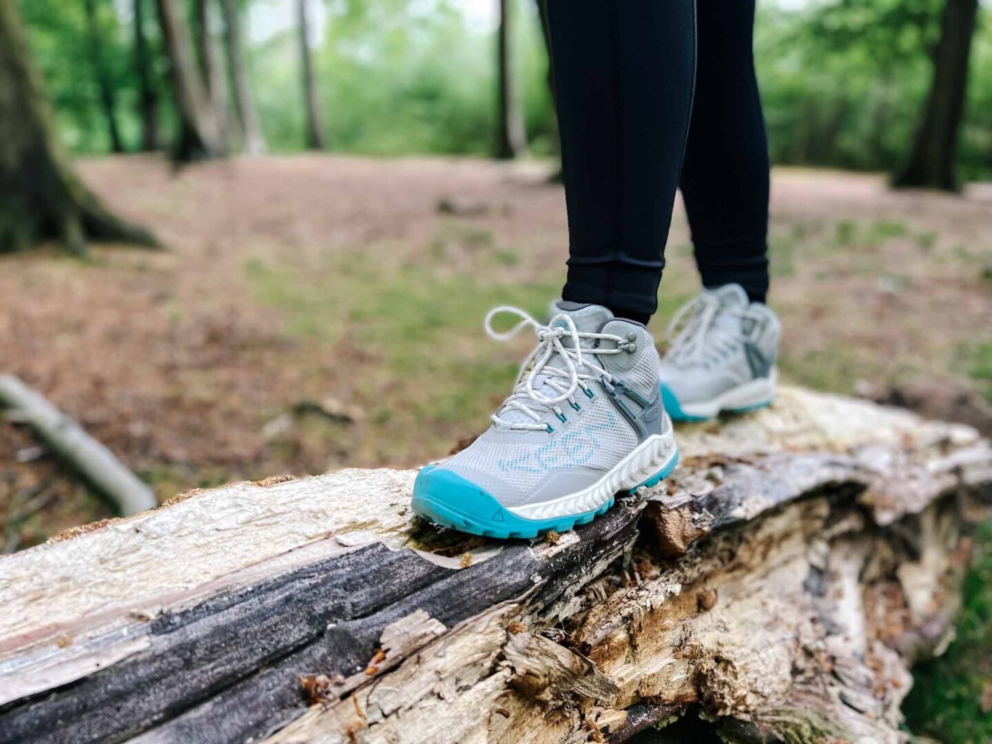 KEEN NIXIS EVO review, boots from front in forest - KEEN NIXIS EVO review, boots from front in forest