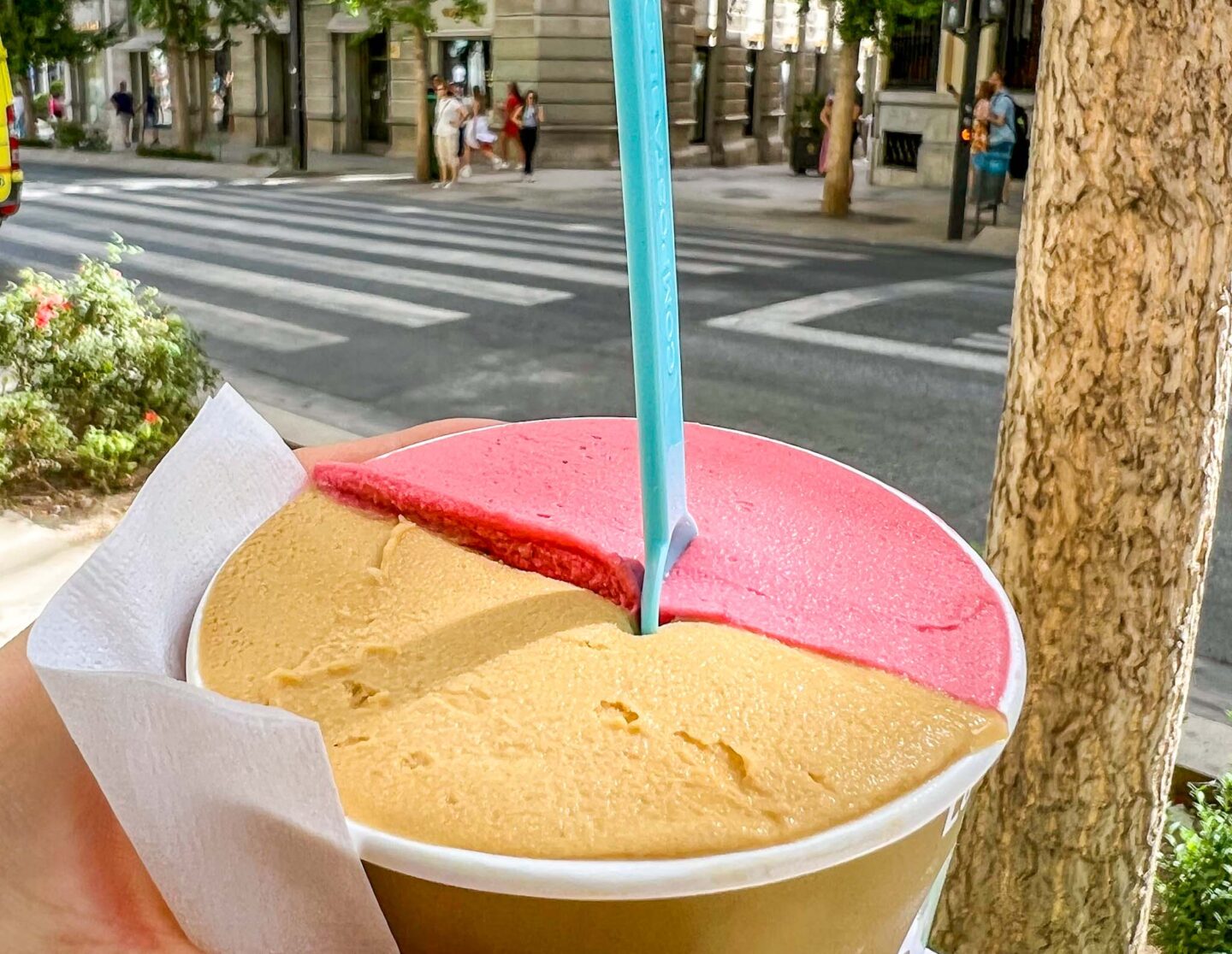 Granada itinerary, One day in Granda, Raspberry and Creme Brûlée Ice Cream from Heladeria Los Italianos - Granada itinerary, One day in Granda, Raspberry and Creme Brûlée Ice Cream from Heladeria Los Italianos