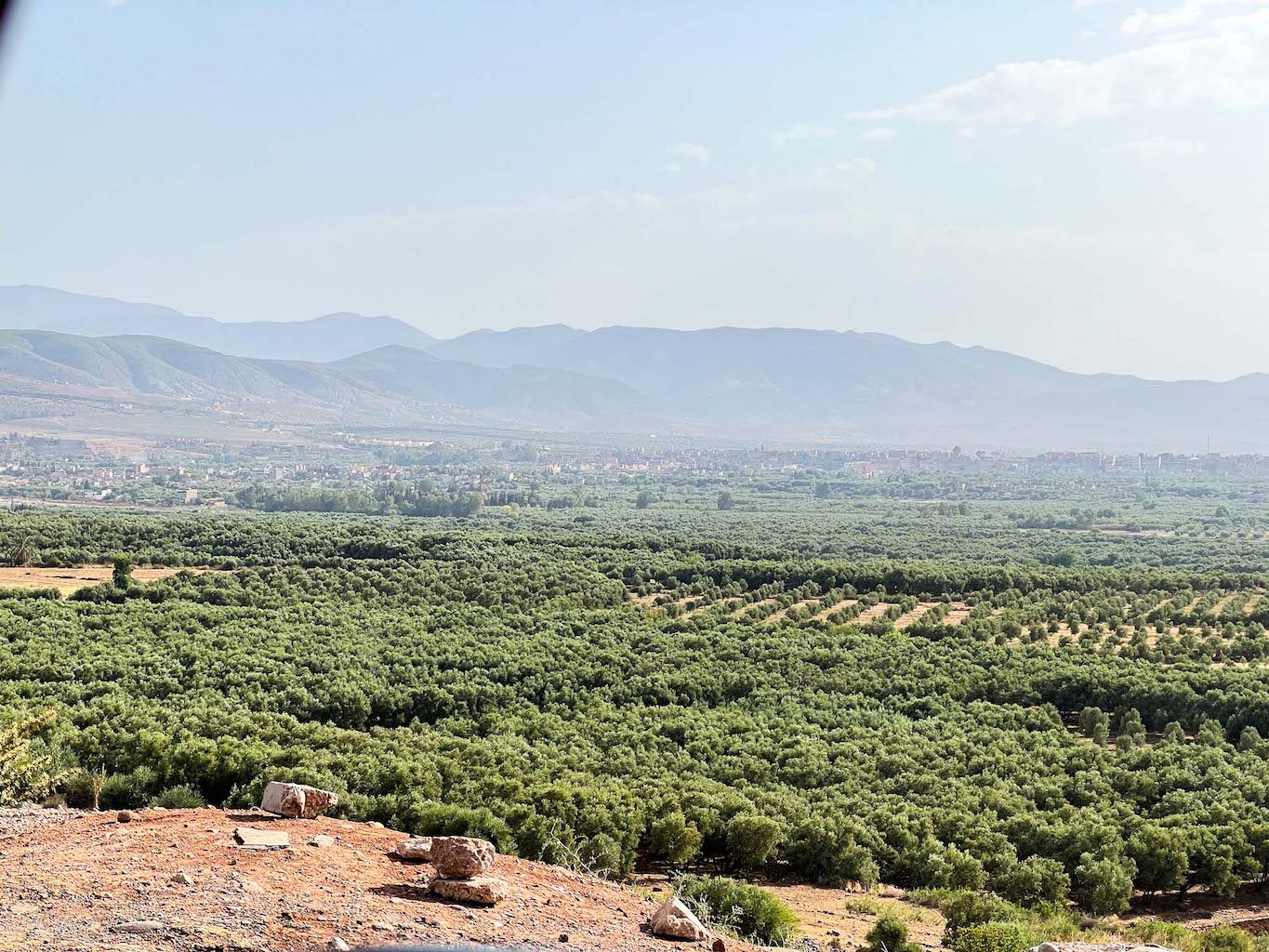 Marrakesh in August, green trees and Atlas Mountains - Marrakesh in August, green trees and Atlas Mountains