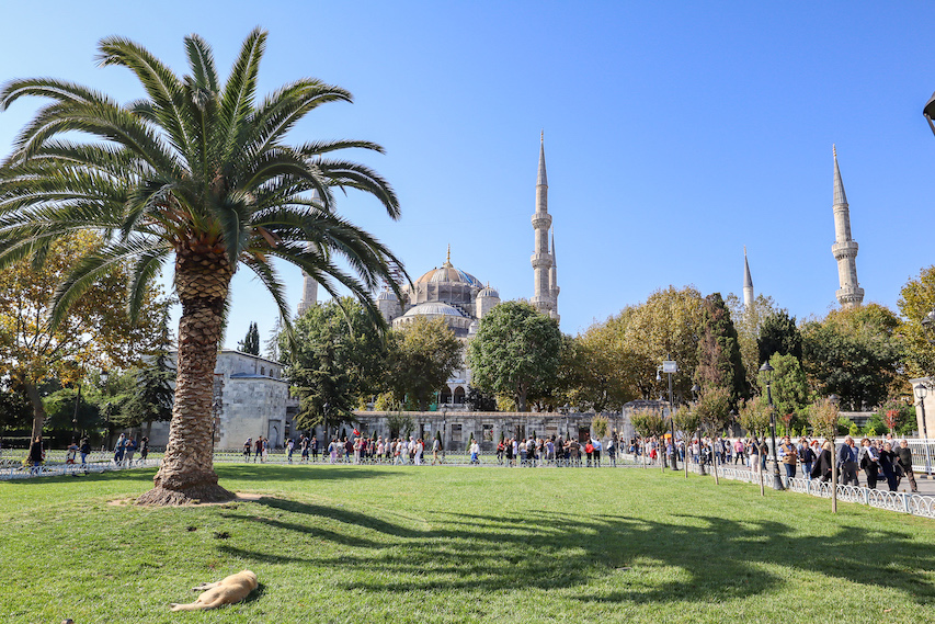 Blue Mosque and gardens from outside, things to do in Istanbul - Blue Mosque and gardens from outside, things to do in Istanbul
