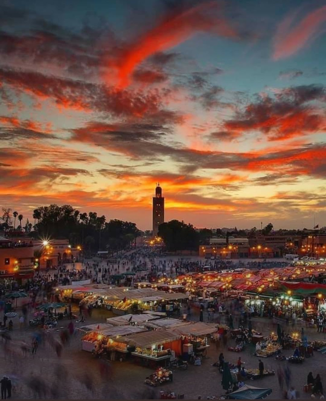 Women's Group Tour to Morocco with Ellie Quinn - Marrakech at sunset, Women's Group Tour to Morocco with Ellie Quinn