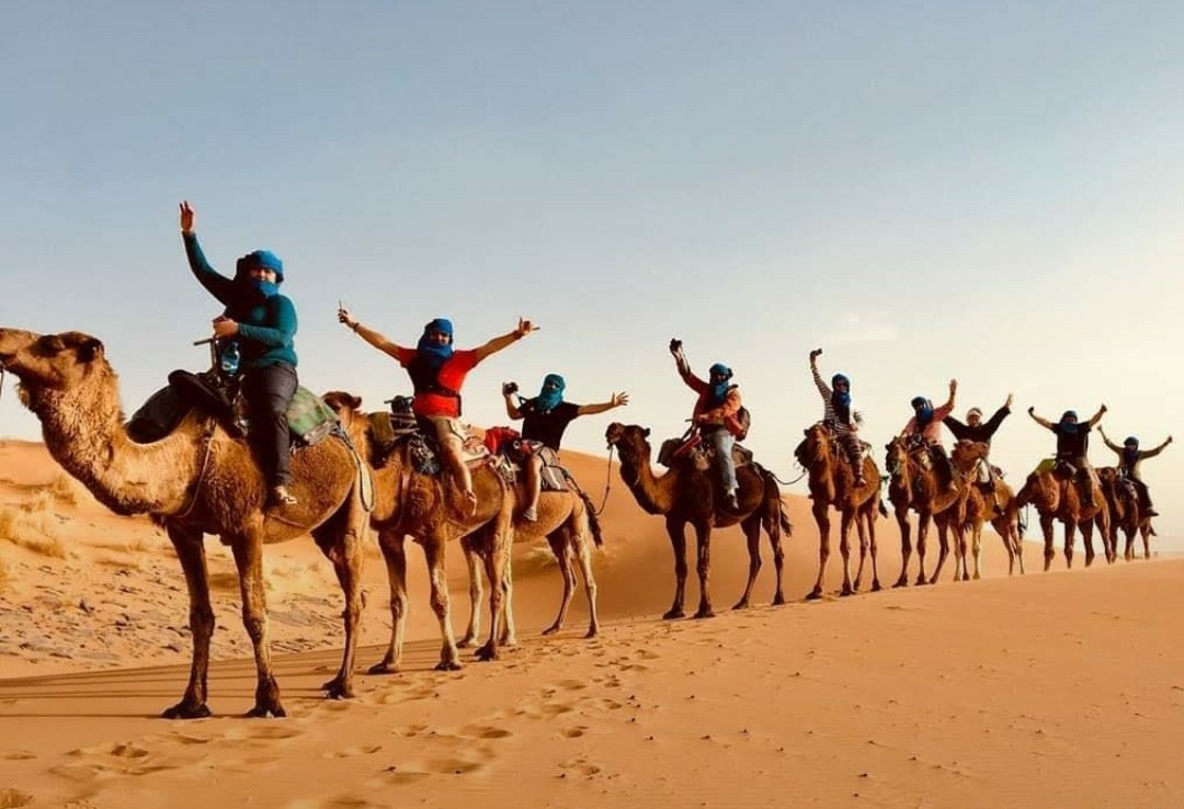 ladies on camels, Women's Group Tour to Morocco with Ellie Quinn - ladies on camels, Women's Group Tour to Morocco with Ellie Quinn
