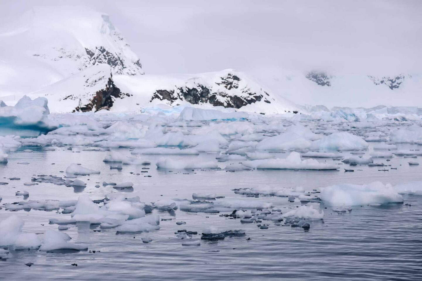 Antarctica in November, Best time to visit Antarctica, cloud and ice in the water - Antarctica in November, Best time to visit Antarctica, cloud and ice in the water