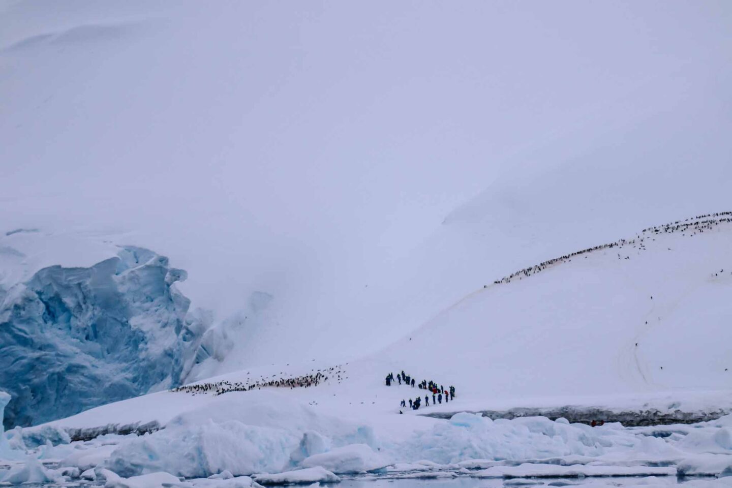 Antarctica in November, Best time to visit Antarctica, people in snow in the distance - Antarctica in November, Best time to visit Antarctica, people in snow in the distance